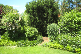 Starke Helfer für große Garten- und Parkanlagen